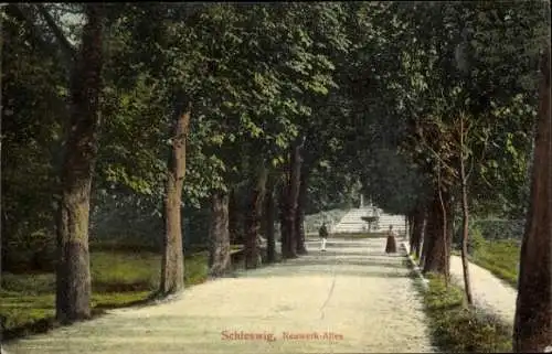 Ak Schleswig an der Schlei, Neuwerk-Allee