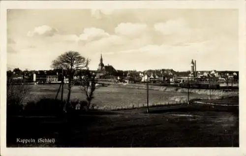 Ak Kappeln an der Schlei, Teilansicht