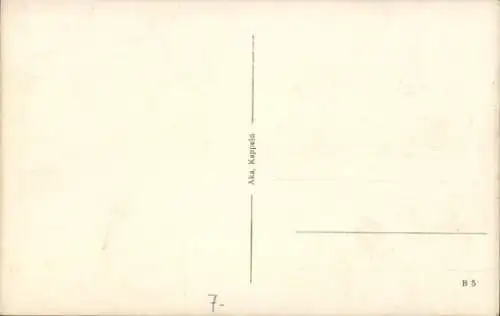 Ak Kappeln an der Schlei, Teilansicht