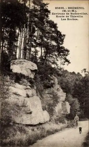 Ak Bréménil Meurthe et Moselle, Route de Thiaville, Les Roches