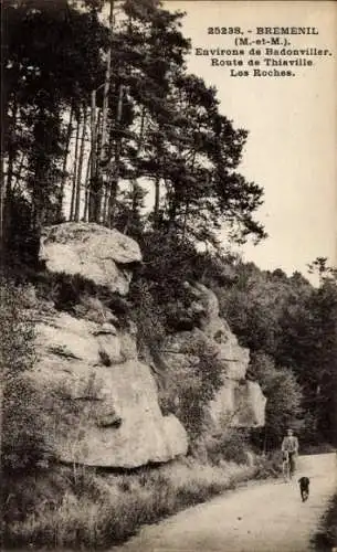 Ak Bréménil Meurthe et Moselle, Route de Thiaville, Les Roches