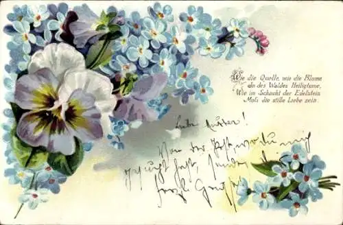 Litho Stiefmütterchen, Vergissmeinnicht, Wie die Quelle, wie die Blume...
