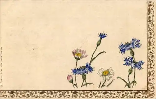 Ak Wiesenblumen, Margeriten