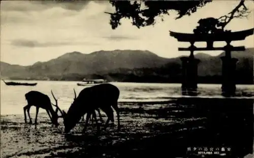 Ak Insel Miyajima Hatsukaichi Präfektur Hiroshima Japan, Itsukushima-Schrein