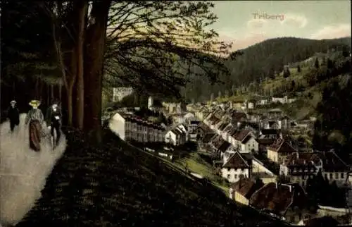 Ak Triberg im Schwarzwald, Blick vom Berg auf die Ortschaft, Hang, Passanten
