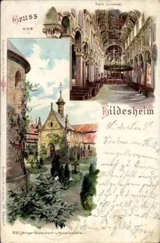 Litho Hildesheim in Niedersachsen, Dom Innenansicht, Annenkapelle, Rosenstock