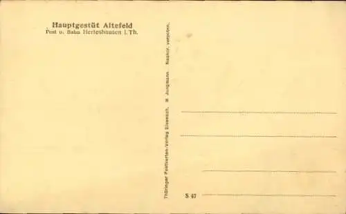 Ak Altefeld Herleshausen an der Werra, Hauptgestüt