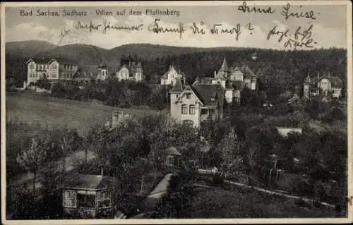 Ak Bad Sachsa im Harz, Villen auf dem Pfaffenberg