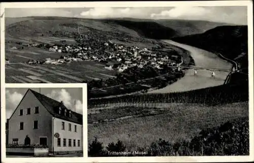 Ak Trittenheim an der Mosel, Gesamtansicht, Weinstube und Pension