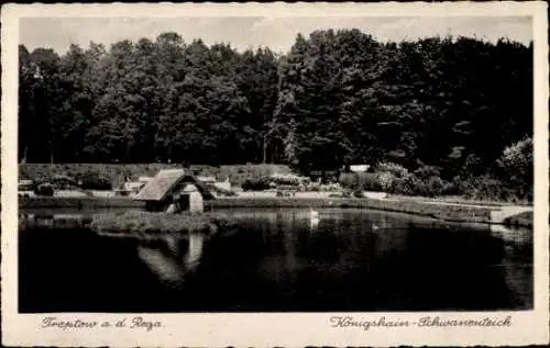 Ak Trzebiatów Treptow an der Rega Westpommern, Schwanenteich im Königshain