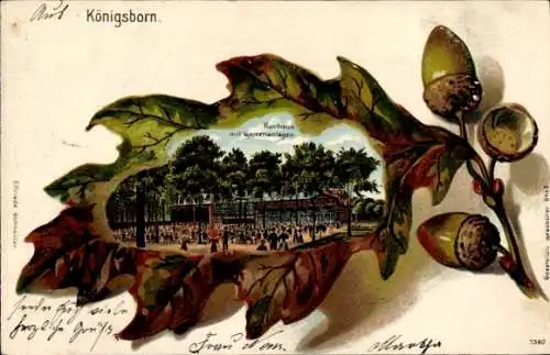 Eichenblatt Litho Königsborn Unna im Ruhrgebiet, Kurhaus, Gartenanlagen