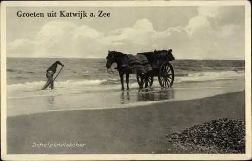 Ak Katwijk aan Zee Südholland, Muschelfischer, Strand, Pferd, Fischfang