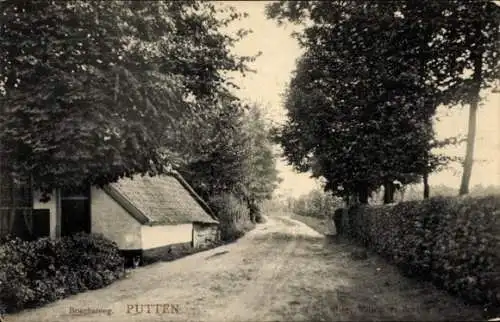 Ak Putten Gelderland, Boschsteeg