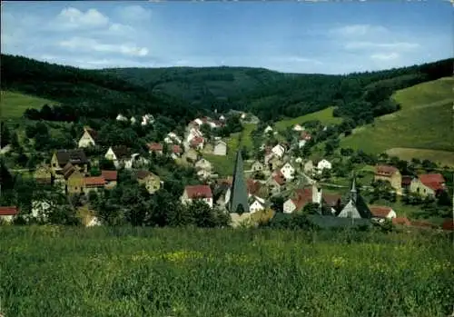 Ak Hessenthal Mespelbrunn im Spessart, Panorama
