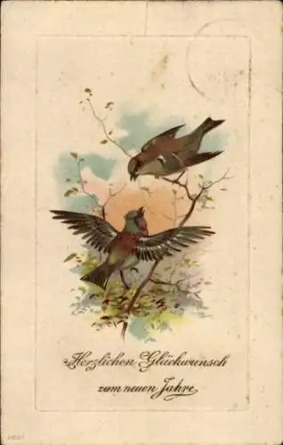 Präge Litho Glückwunsch Neujahr, Zwei Vögel