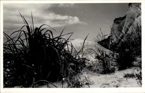 Foto Ak Insel Poel Mecklenburg, Teilansicht, Dünen