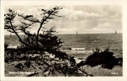 Ak Ostseebad Heringsdorf auf Usedom, Dünen