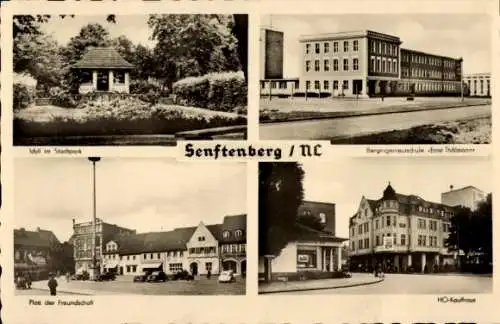 Ak Senftenberg in der Niederlausitz, Stadtpark, Bergingenieurschule Ernst Thälmann, HO Kaufhaus