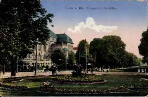 Ak Bonn am Rhein, Poppelsdorfer Allee