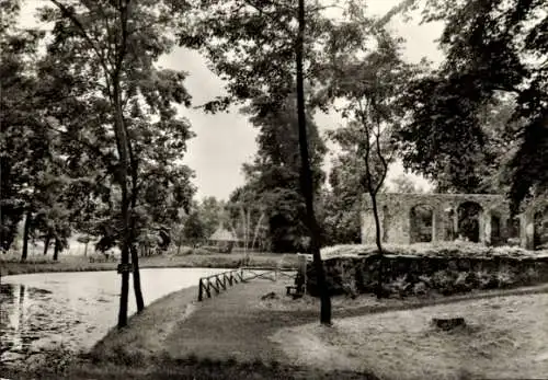 Ak Freyenstein Wittstock Dosse in der Prignitz, Park