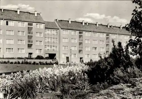 Ak Malchin in Mecklenburg, Häuserblock, Drossel-Straße