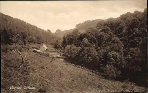 Ak Cockercombe Somerset England, Panorama