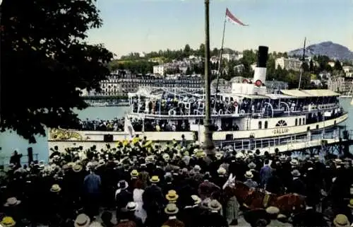 Ak Vierwaldstättersee, Salondampfer Gallia