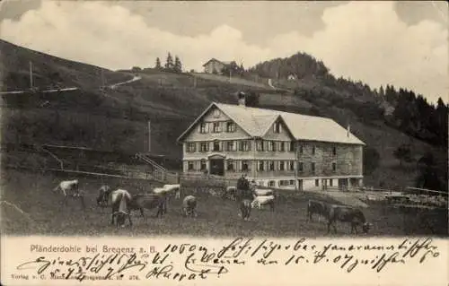 Ak Bregenz am Bodensee Vorarlberg, Pfänderdohle