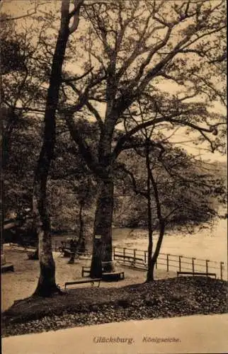 Ak Glücksburg an der Ostsee, Königseiche