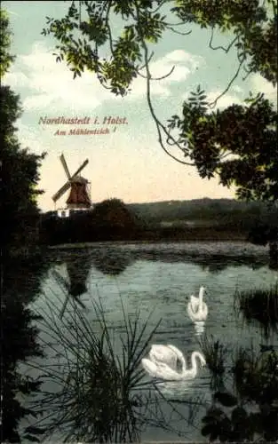 Ak Nordhastedt in Dithmarschen, Mühlenteich, Schwäne, Windmühle