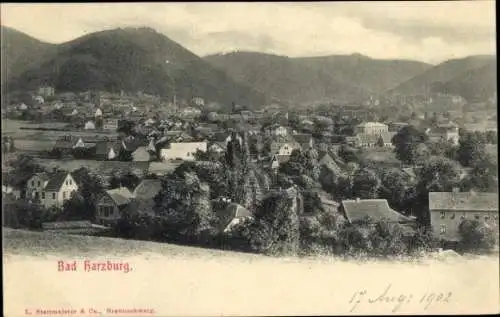 Ak Bad Harzburg am Harz, Gesamtansicht