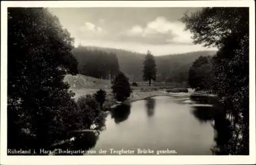 Ak Rübeland Oberharz am Brocken, Bode von der Trogfurter Brücke gesehen