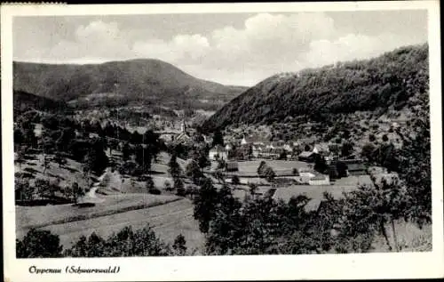 Ak Oppenau im Schwarzwald, Panorama