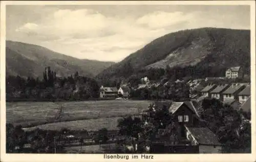 Ak Ilsenburg im Harz, Teilansicht