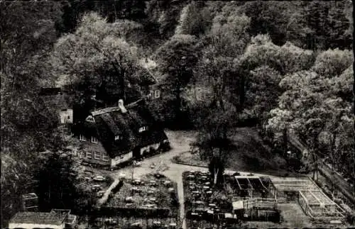 Ak Leuchtenburg Schwanewede Niedersachsen, Waldgaststätte Brunnenhof, Tiergarten