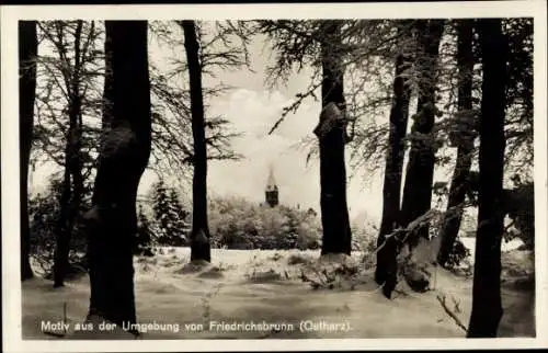 Ak Friedrichsbrunn Thale im Harz, Winter, Teilansicht