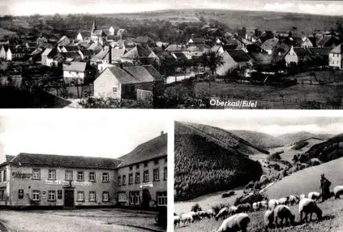 Ak Oberkail in der Eifel, Gesamtansicht, Gasthaus, Metzgerei, Pension