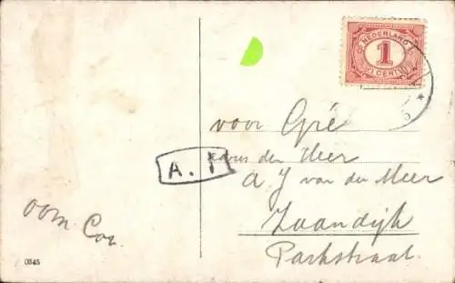 Ak Katze mit Schleife, Korb, Tierportrait