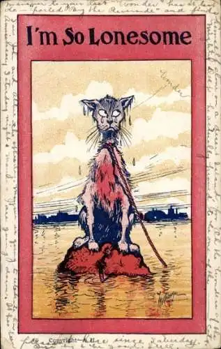 Passepartout Künstler Ak Einsame weinende Katze, Strick