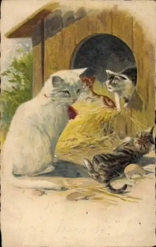 Ak Katzenfamilie, Katzenbabys, Hundehütte