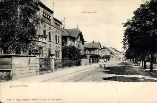 Ak Großenhain Sachsen, Johannes-Allee