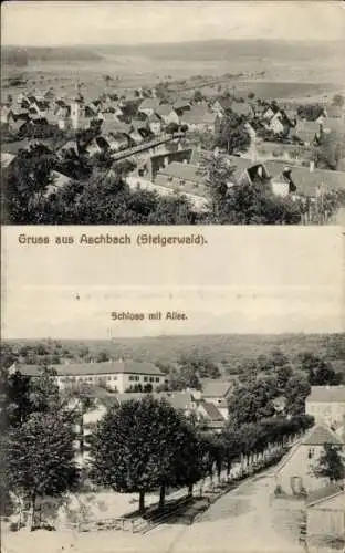 Ak Aschbach Schlüsselfeld im Steigerwald Oberfranken, Schloss, Allee