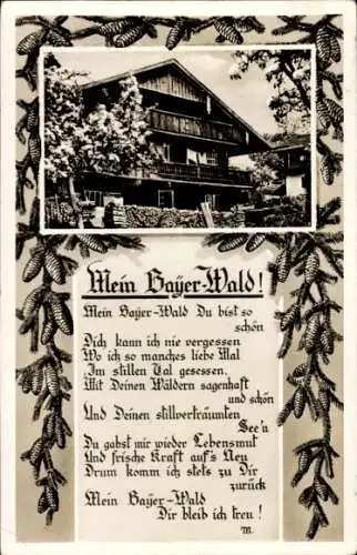 Ak Gedicht Mein Bayrischer Wald, Gasthaus, Tannenzapfen
