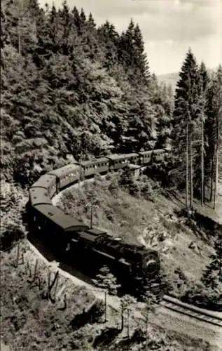 Ak Harzquerbahn, Bergbahn, Wald