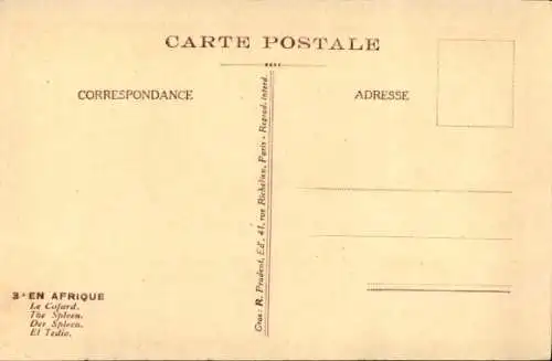 Künstler Ak Boirau, Ch., In Africa, The Cockroach