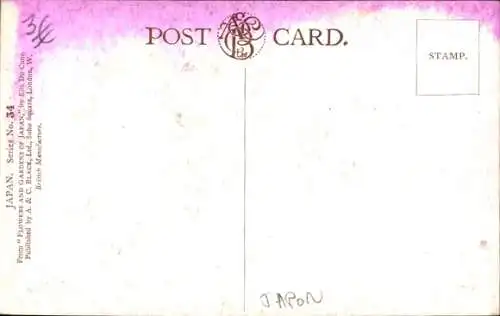 Künstler Ak Japan, The Pine Tree