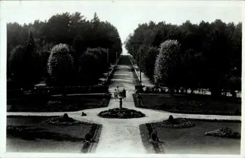 Ak Narva Narwa Estland, Park, Bäume