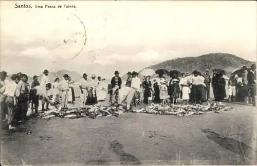 Ak Santos Brasilien, Uma Pesca de Tainha