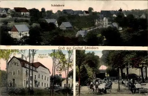 Ak Schönborn Dreiwerden Rossau Sachsen, Gesamtansicht, Gasthof Schönborn, Garten