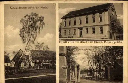 Ak Bosengröba Wintersdorf Meuselwitz in Thüringen, Gasthof zur Maus, Naturseltenheit, Konzertgarten